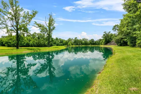 1608 Ridgeway Rd, Lugoff, SC 29078 photo 73