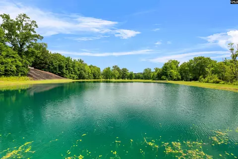 1608 Ridgeway Rd, Lugoff, SC 29078 photo 56