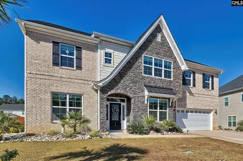 175 Almofini Ln, Chapin, SC 29036