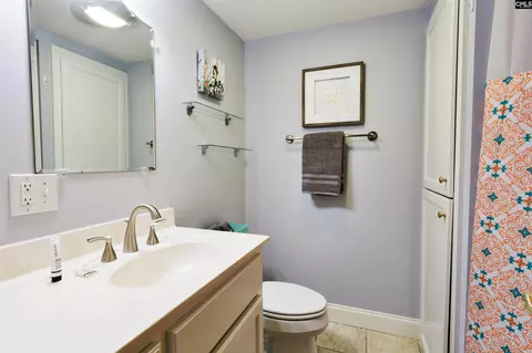 Bath - 331 Westshore Dr, Ridgeway, SC 29130 photo 4 of 4
