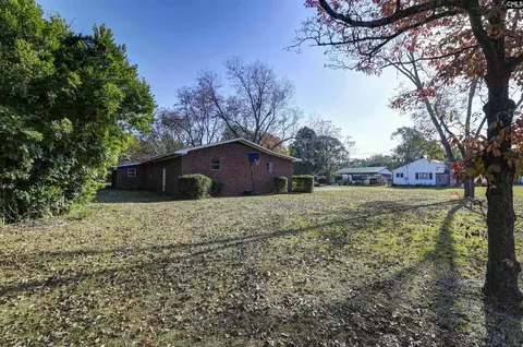 507 Long Ter, Leesville, SC 29070 photo 11