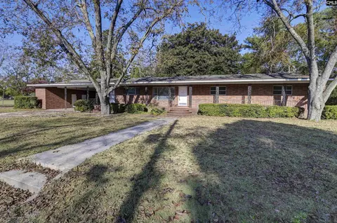507 Long Ter, Leesville, SC 29070 photo 15