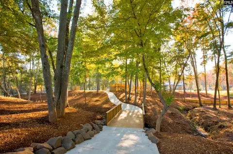 View/Area - 513 Dreher Locks Rd, Lexington, SC 29072 photo 2 of 2