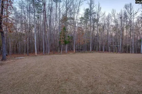 Exterior - 341 Rocky Meadow Dr, Gilbert, SC 29054 photo 15 of 15