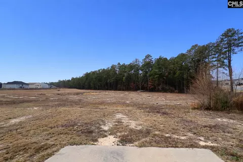 Other - 202 Ridley Hill Ln, Elgin, SC 29045 photo 5 of 5