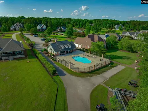 View/Area - 274 Pintail Lake Dr, Gilbert, SC 29054 photo 4 of 5