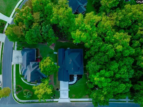 View/Area - 274 Pintail Lake Dr, Gilbert, SC 29054 photo 1 of 5
