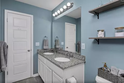 Bath - 932 Trident Maple Ln, Chapin, SC 29036 photo 5 of 7