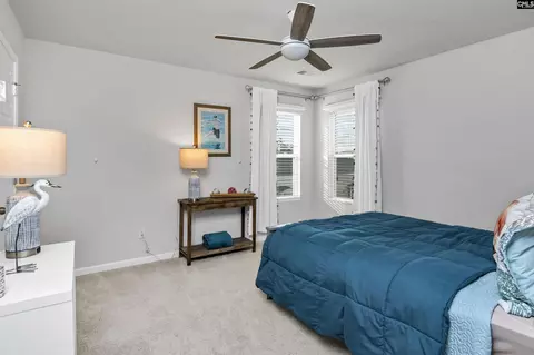 Bedroom - 932 Trident Maple Ln, Chapin, SC 29036 photo 7 of 8