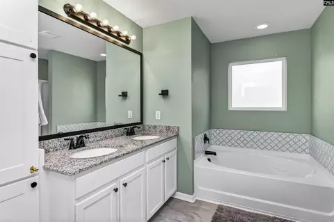 Bath - 932 Trident Maple Ln, Chapin, SC 29036 photo 1 of 7