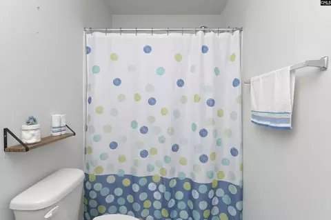 Bath - 932 Trident Maple Ln, Chapin, SC 29036 photo 6 of 7