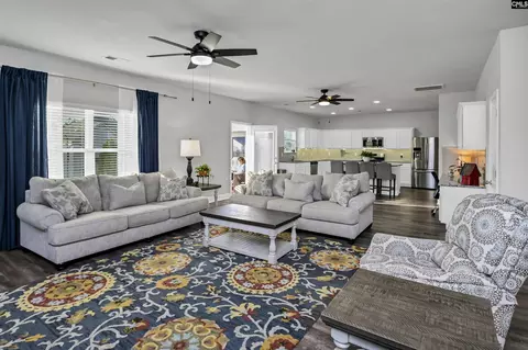 Living - 932 Trident Maple Ln, Chapin, SC 29036 photo 2 of 3