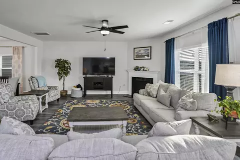 Living - 932 Trident Maple Ln, Chapin, SC 29036 photo 3 of 3