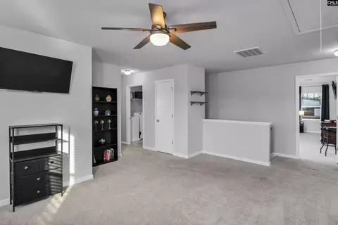 Entry Way - 932 Trident Maple Ln, Chapin, SC 29036 photo 5 of 5