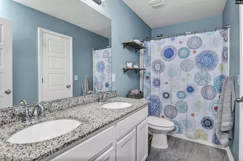 Bath - 932 Trident Maple Ln, Chapin, SC 29036 photo 4 of 7