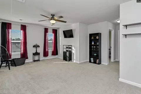 Other - 932 Trident Maple Ln, Chapin, SC 29036 photo 4 of 6