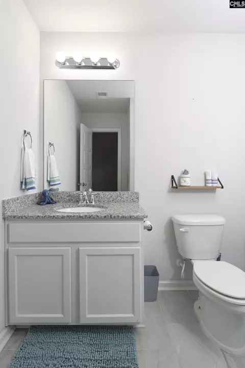 Bath - 932 Trident Maple Ln, Chapin, SC 29036 photo 7 of 7