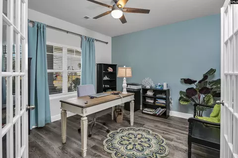 Other - 932 Trident Maple Ln, Chapin, SC 29036 photo 1 of 6