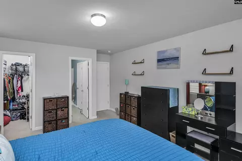 Bedroom - 932 Trident Maple Ln, Chapin, SC 29036 photo 6 of 8
