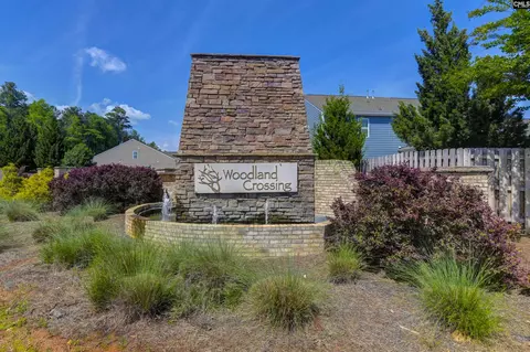 Other - 932 Trident Maple Ln, Chapin, SC 29036 photo 6 of 6