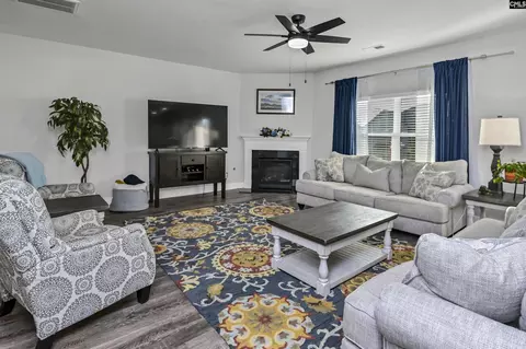Living - 932 Trident Maple Ln, Chapin, SC 29036 photo 1 of 3