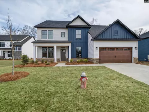 28 Elk Run Ct, Chapin, SC 29036