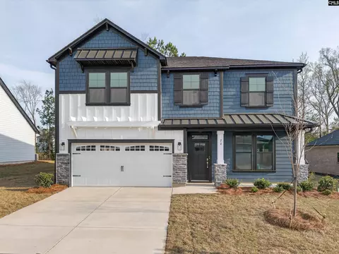 20 Elk Run Ct, Chapin, SC 29036