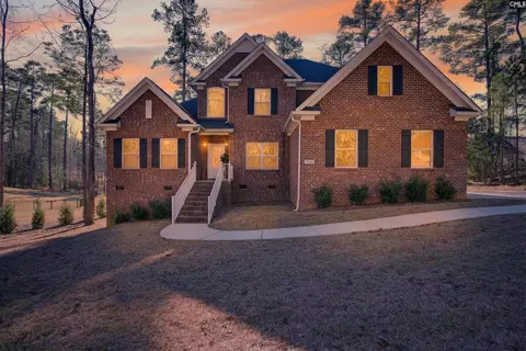 509 Links Pointe Ct, Chapin, SC 29036