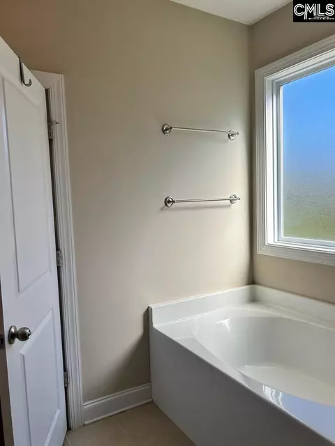 Bath - 60 Fork Branch Ct, Irmo, SC 29063 photo 2 of 4