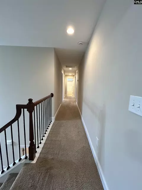 Entry Way - 60 Fork Branch Ct, Irmo, SC 29063 photo 11 of 12
