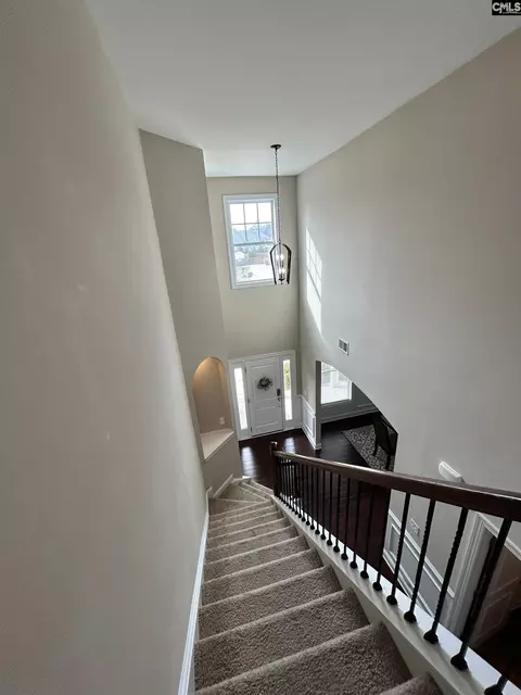 Entry Way - 60 Fork Branch Ct, Irmo, SC 29063 photo 10 of 12