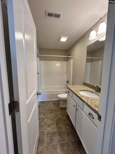 Bath - 60 Fork Branch Ct, Irmo, SC 29063 photo 3 of 4