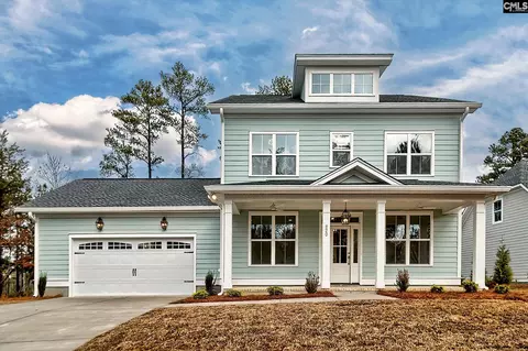 820 Elms Spinney Ln, Chapin, SC 29036