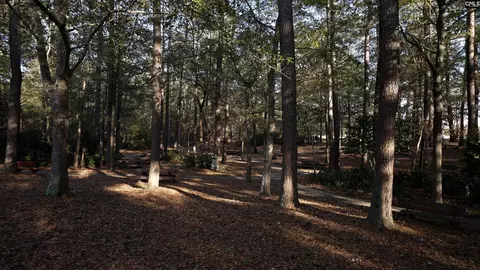 557 Marcus Way, Gilbert, SC 29054 photo 25