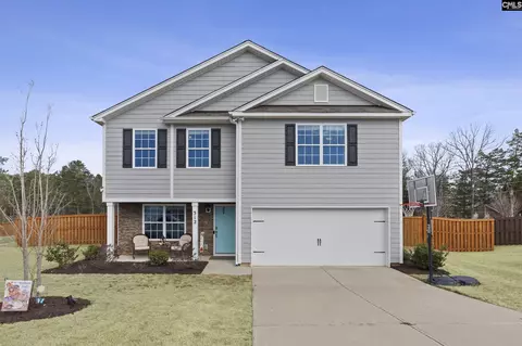312 Throne Ct, Chapin, SC 29036
