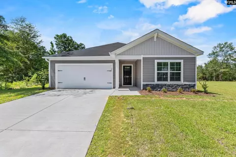 203 Calm Citadel Dr, Pelion, SC 29123
