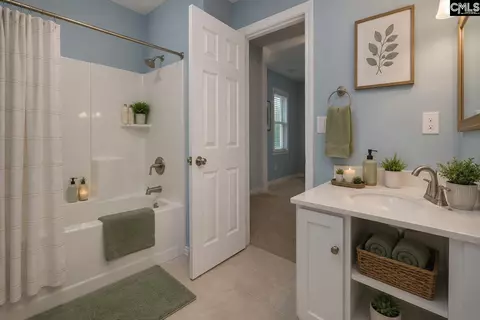 Bath - 392 Eagle Pointe Dr, Chapin, SC 29036 photo 6 of 8