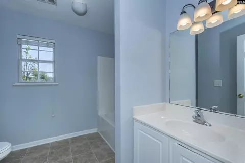 Bath - 392 Eagle Pointe Dr, Chapin, SC 29036 photo 7 of 8