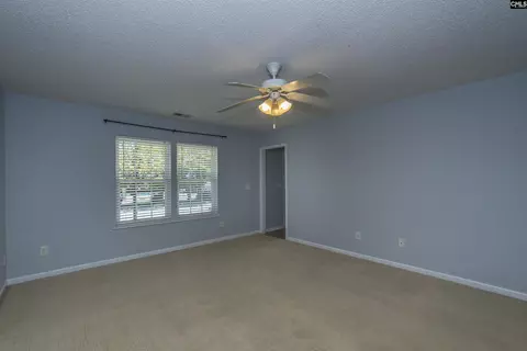 Other - 392 Eagle Pointe Dr, Chapin, SC 29036 photo 4 of 10