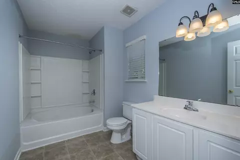 Bath - 392 Eagle Pointe Dr, Chapin, SC 29036 photo 3 of 8