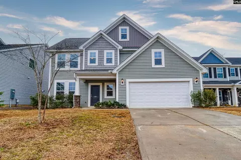 1355 Tamarind Ln, Chapin, SC 29036