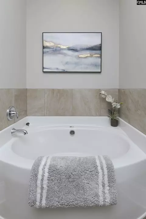 Bath - 175 Autumn Dr, Prosperity, SC 29127 photo 3 of 5