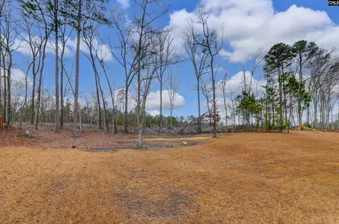 Exterior - 175 Autumn Dr, Prosperity, SC 29127 photo 8 of 11