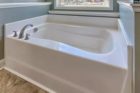 Bath - 417 Dot Ct, Gilbert, SC 29054 photo 3 of 4