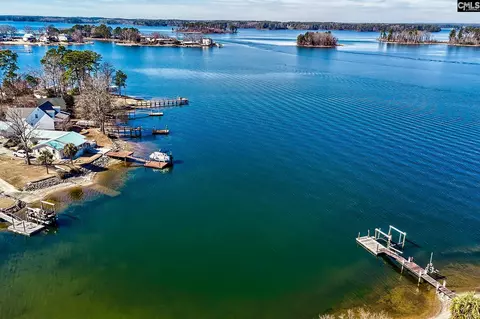 View/Area - 417 Dot Ct, Gilbert, SC 29054 photo 6 of 7