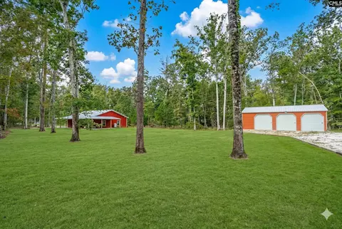 132 Pembroke Ln, Chapin, SC 29036
