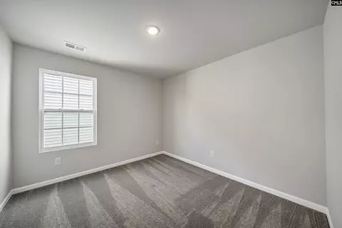 758 Ben Gunn Run, Gilbert, SC 29054 photo 26