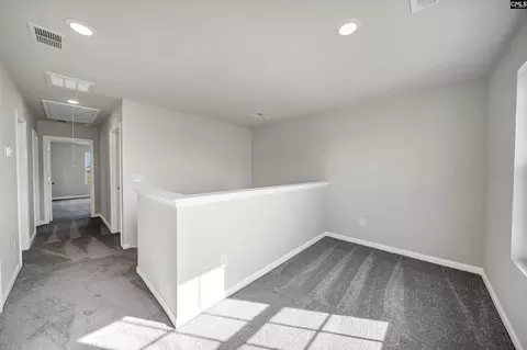 758 Ben Gunn Run, Gilbert, SC 29054 photo 17