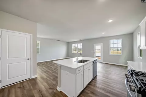 758 Ben Gunn Run, Gilbert, SC 29054 photo 9