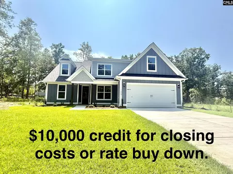 1008 Refuge Pl, Chapin, SC 29036